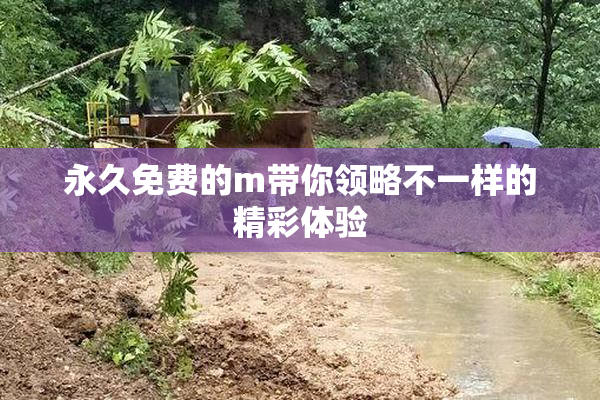 永久免费的m带你领略不一样的精彩体验