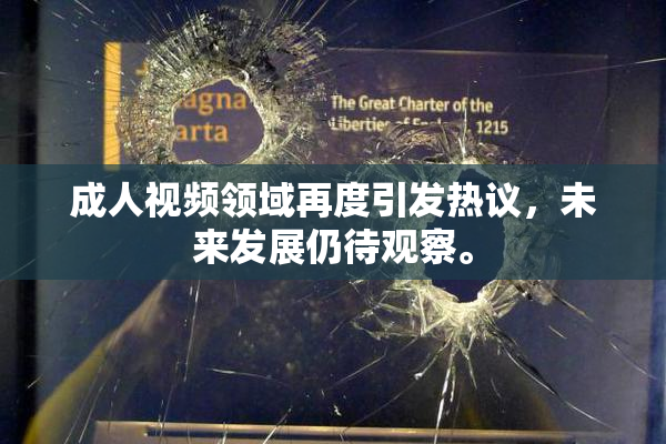 成人视频领域再度引发热议，未来发展仍待观察。