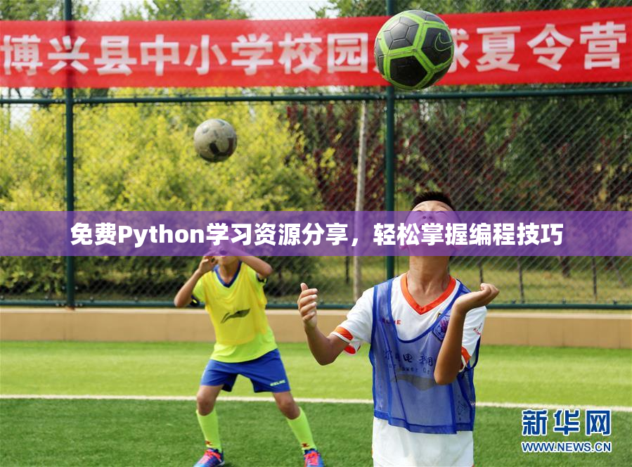 免费Python学习资源分享，轻松掌握编程技巧