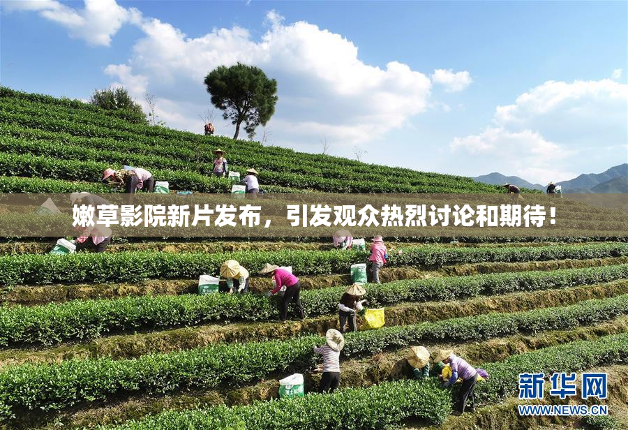 嫩草影院新片发布，引发观众热烈讨论和期待！