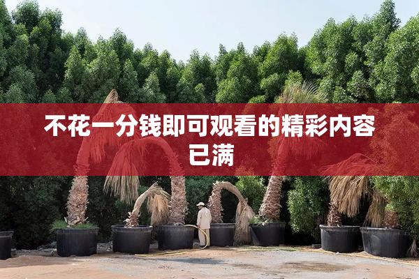 不花一分钱即可观看的精彩内容已满