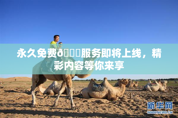 永久免费🔞服务即将上线，精彩内容等你来享