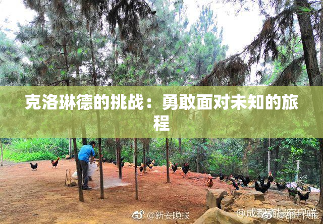 克洛琳德的挑战：勇敢面对未知的旅程