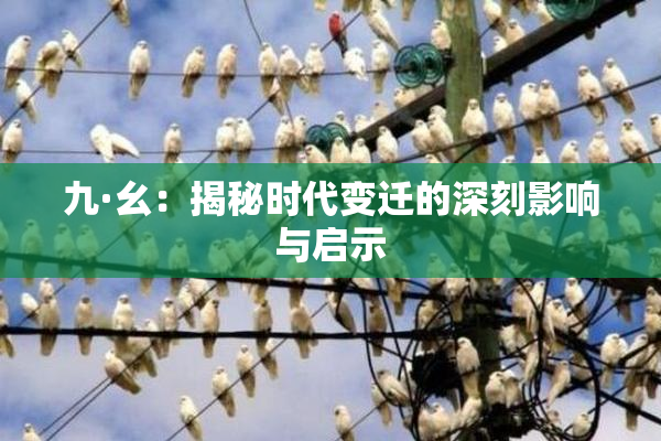 九·幺：揭秘时代变迁的深刻影响与启示