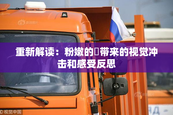 重新解读：粉嫩的泬带来的视觉冲击和感受反思
