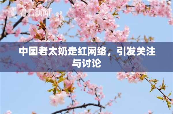 中国老太奶走红网络，引发关注与讨论