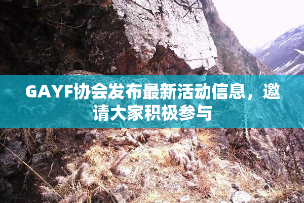 GAYF协会发布最新活动信息，邀请大家积极参与