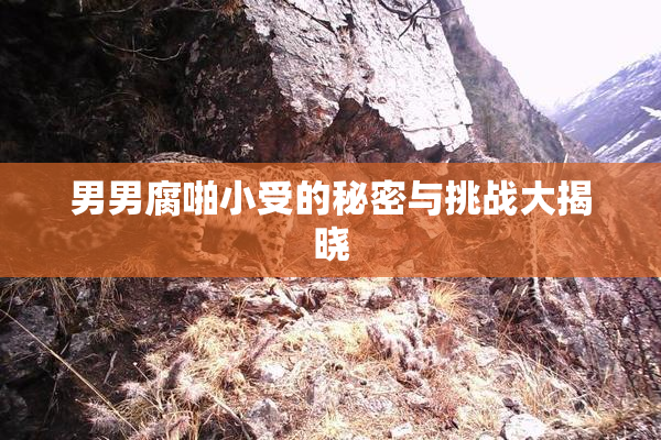 男男腐啪小受的秘密与挑战大揭晓