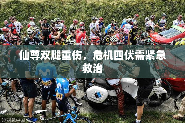 仙尊双腿重伤，危机四伏需紧急救治