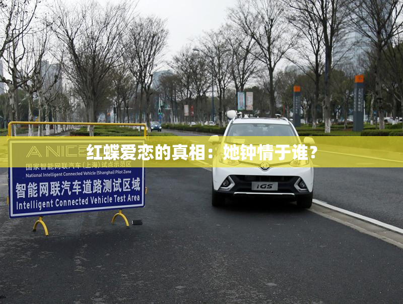 红蝶爱恋的真相：她钟情于谁？