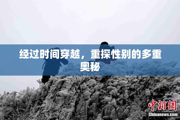 经过时间穿越，重探性别的多重奥秘