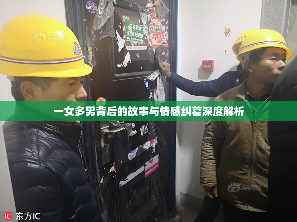 一女多男背后的故事与情感纠葛深度解析