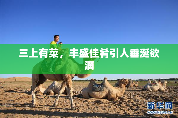 三上有菜，丰盛佳肴引人垂涎欲滴