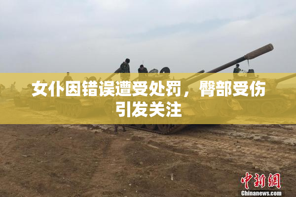 女仆因错误遭受处罚，臀部受伤引发关注