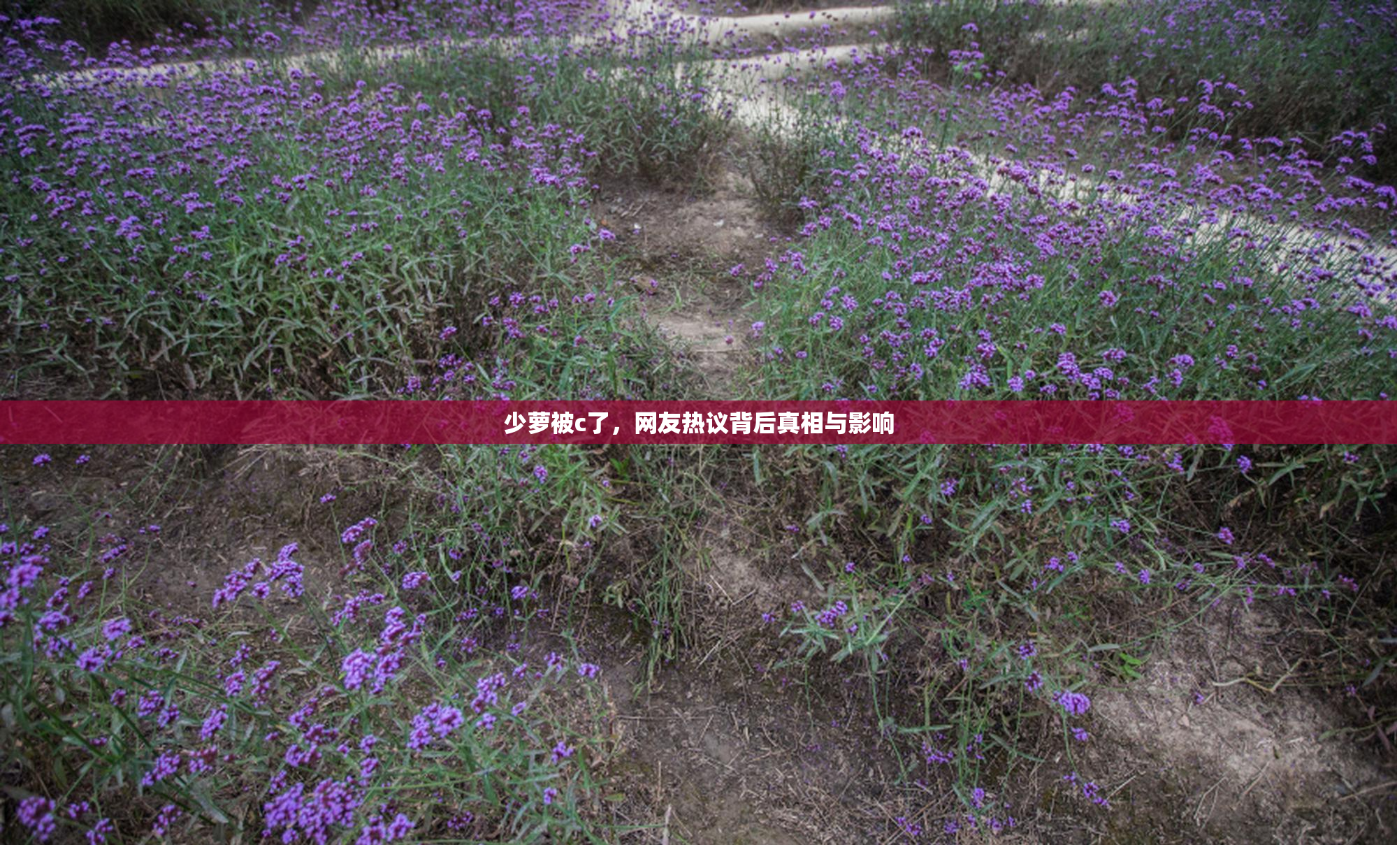 少萝被c了，网友热议背后真相与影响