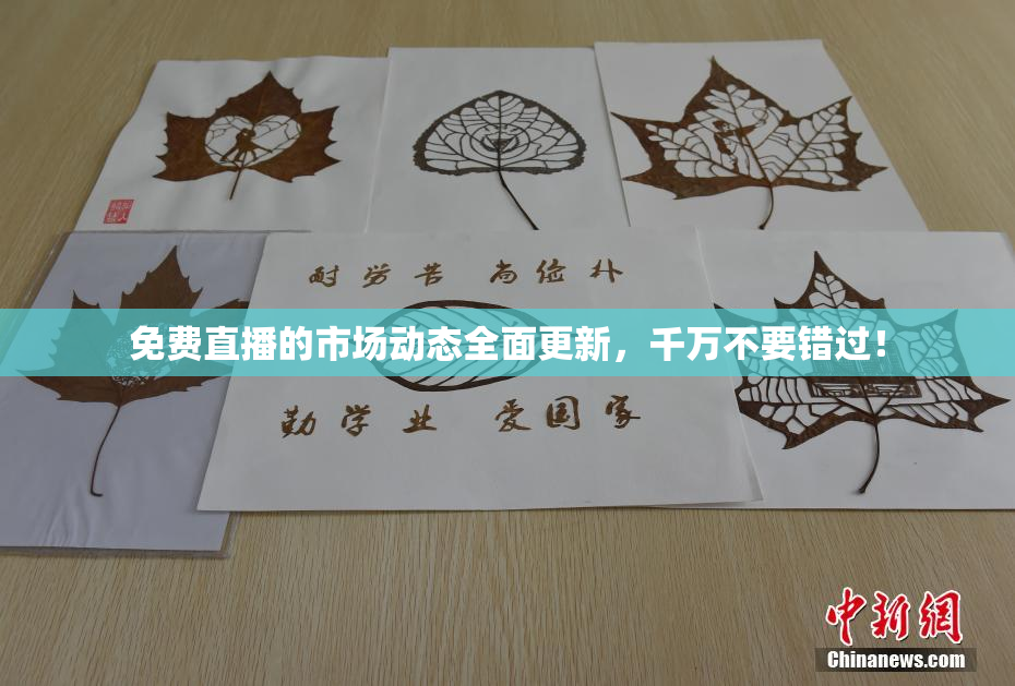 免费直播的市场动态全面更新，千万不要错过！