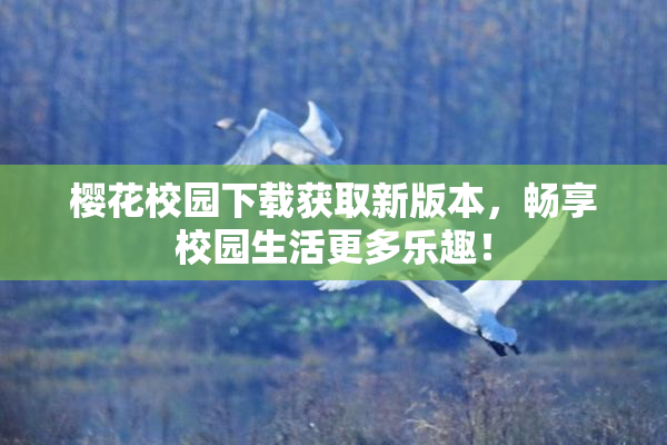 樱花校园下载获取新版本，畅享校园生活更多乐趣！
