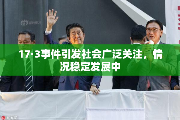 17·3事件引发社会广泛关注，情况稳定发展中