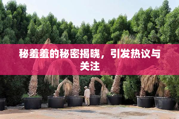 秘羞羞的秘密揭晓，引发热议与关注