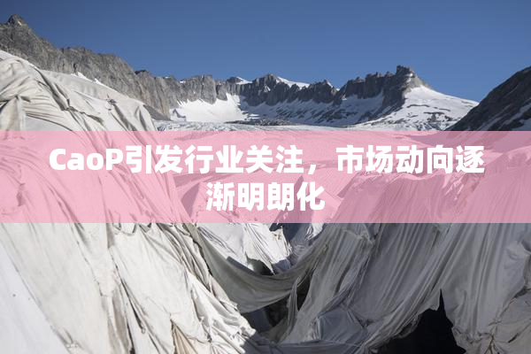 CaoP引发行业关注，市场动向逐渐明朗化