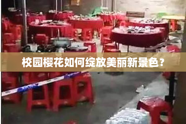 校园樱花如何绽放美丽新景色？