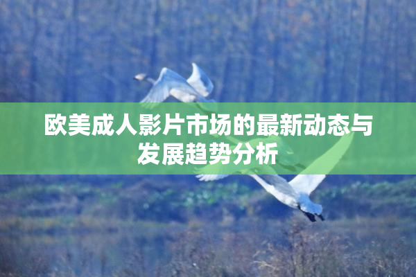 欧美成人影片市场的最新动态与发展趋势分析