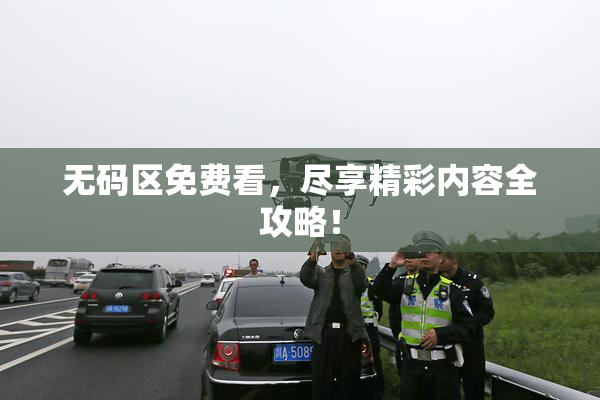 无码区免费看，尽享精彩内容全攻略！