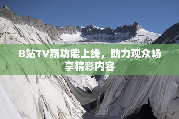 B站TV新功能上线，助力观众畅享精彩内容