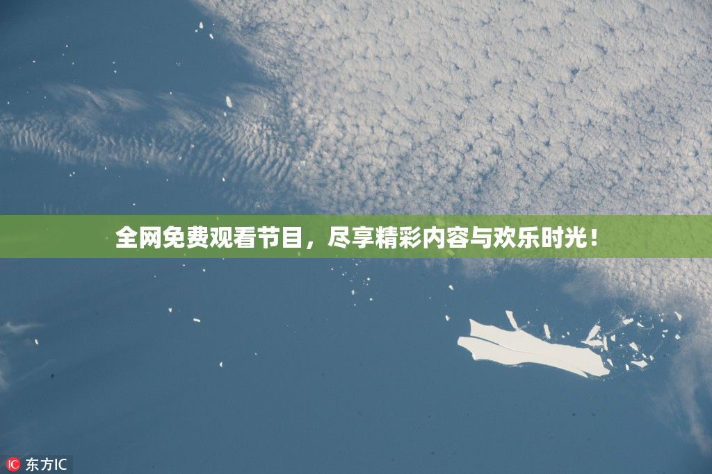全网免费观看节目，尽享精彩内容与欢乐时光！