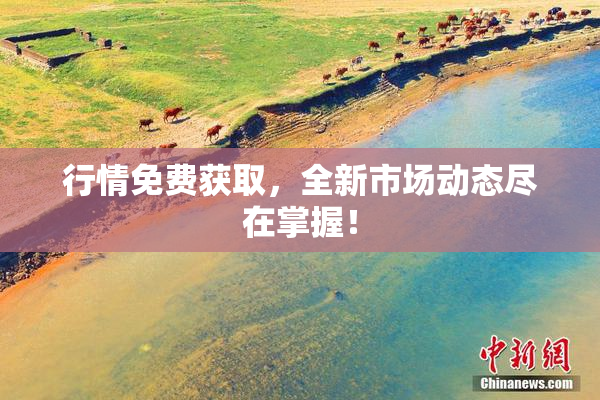 行情免费获取，全新市场动态尽在掌握！
