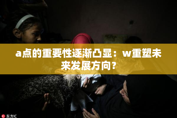 a点的重要性逐渐凸显：w重塑未来发展方向？