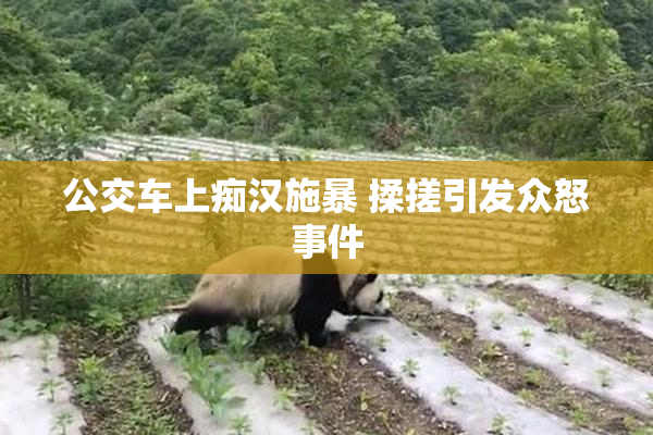 公交车上痴汉施暴 揉搓引发众怒事件