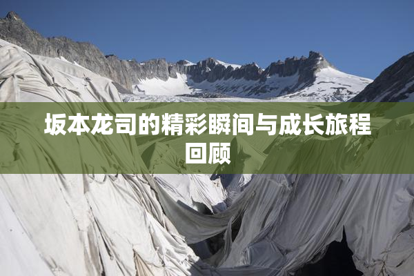 坂本龙司的精彩瞬间与成长旅程回顾