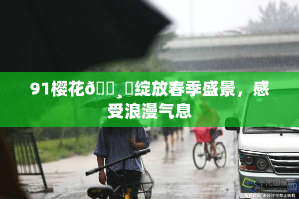 91樱花🌸‌绽放春季盛景，感受浪漫气息