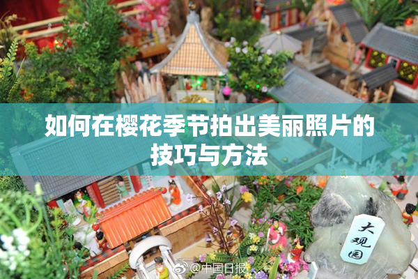 如何在樱花季节拍出美丽照片的技巧与方法