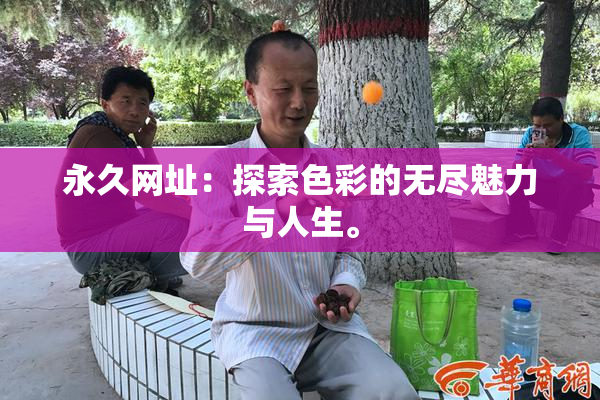 永久网址：探索色彩的无尽魅力与人生。