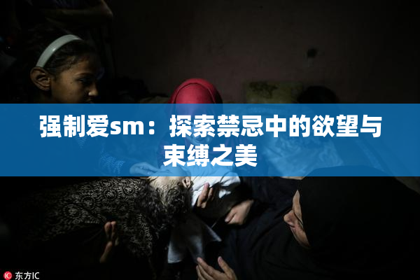 强制爱sm：探索禁忌中的欲望与束缚之美
