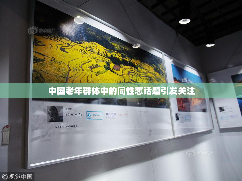 中国老年群体中的同性恋话题引发关注