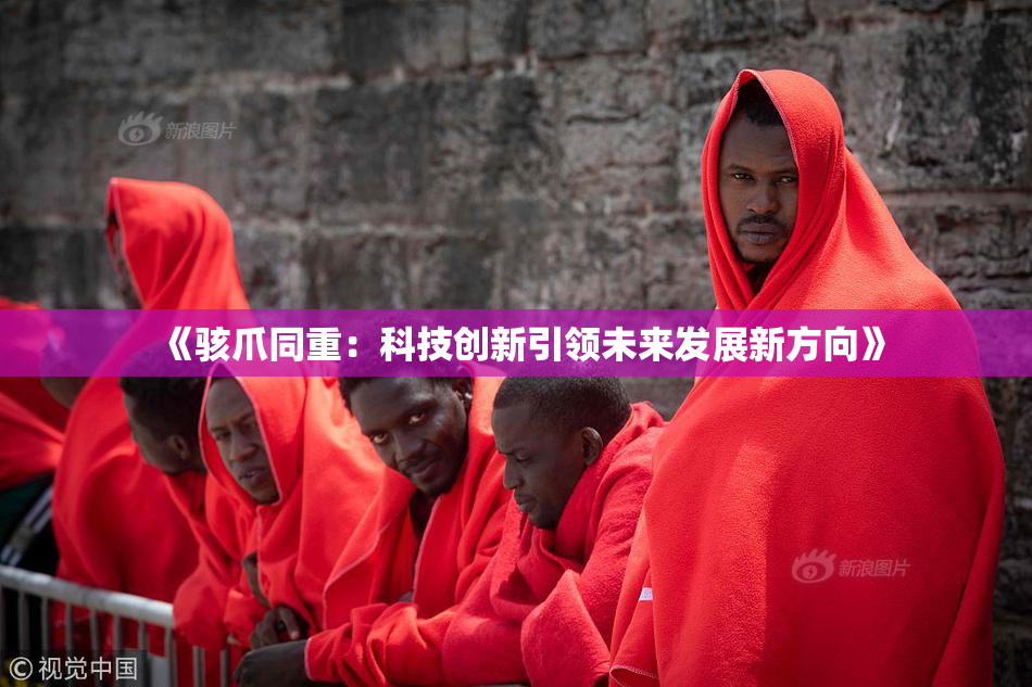 《骇爪同重：科技创新引领未来发展新方向》