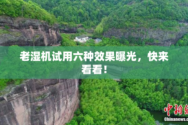 老湿机试用六种效果曝光，快来看看！