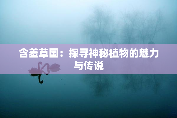 含羞草国：探寻神秘植物的魅力与传说