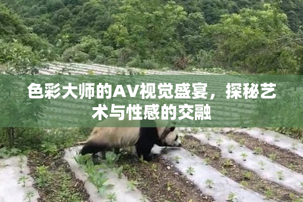 色彩大师的AV视觉盛宴，探秘艺术与性感的交融
