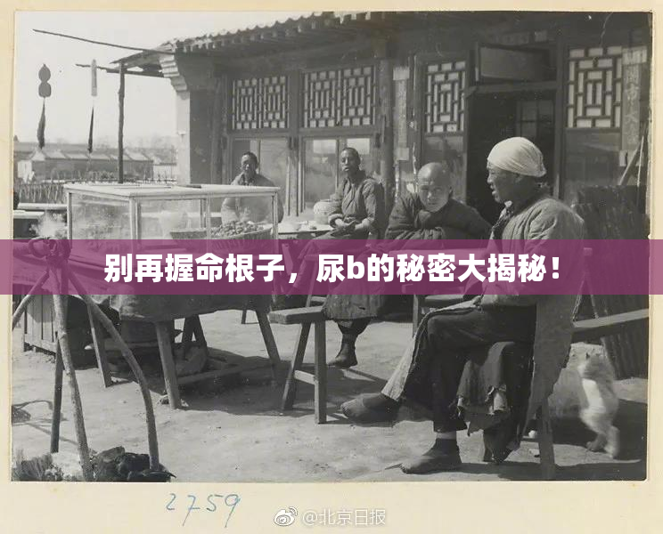 别再握命根子，尿b的秘密大揭秘！