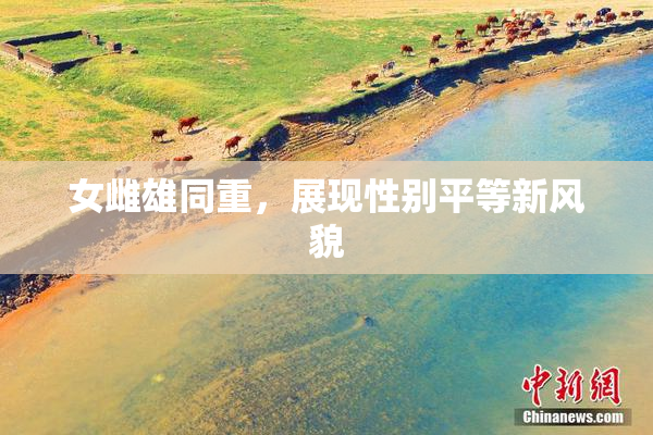 女雌雄同重，展现性别平等新风貌