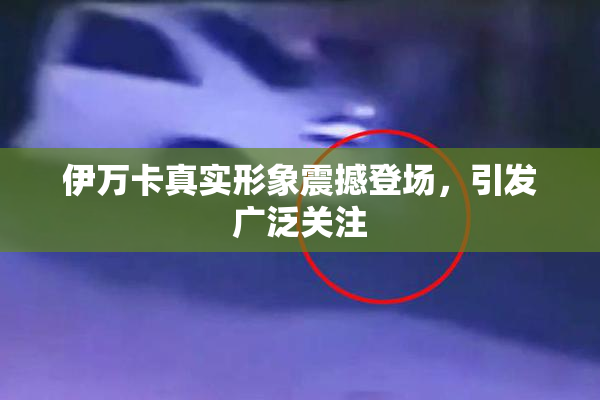 伊万卡真实形象震撼登场，引发广泛关注