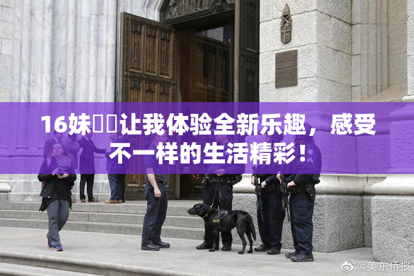 16妹妺妺让我体验全新乐趣，感受不一样的生活精彩！