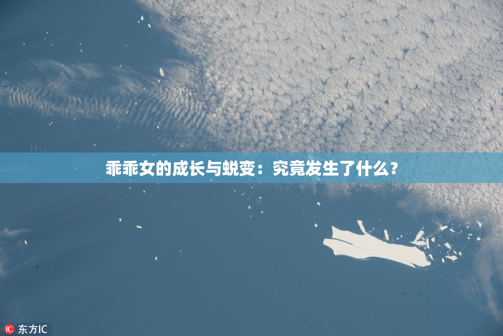 乖乖女的成长与蜕变：究竟发生了什么？