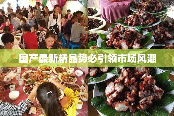 国产最新精品势必引领市场风潮