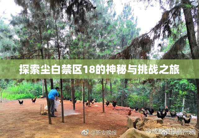 探索尘白禁区18的神秘与挑战之旅