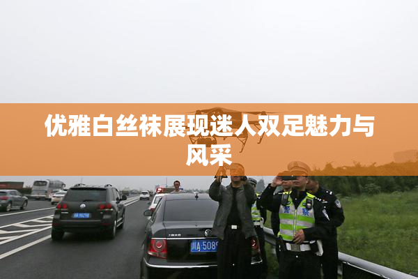 优雅白丝袜展现迷人双足魅力与风采